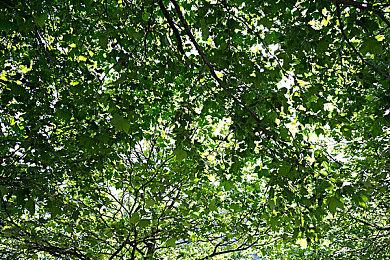 《明末：渊虚之羽》制作人回应玩家：暗示游戏没有地图 